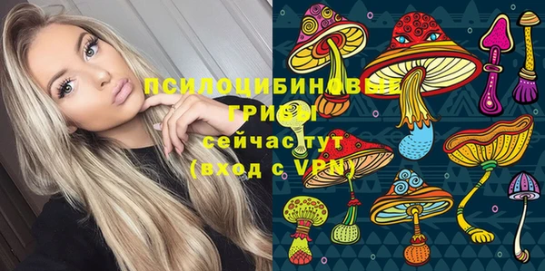 СК Куйбышев