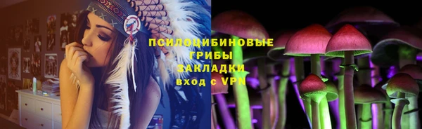 СК Куйбышев
