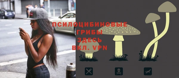 экстази Бежецк