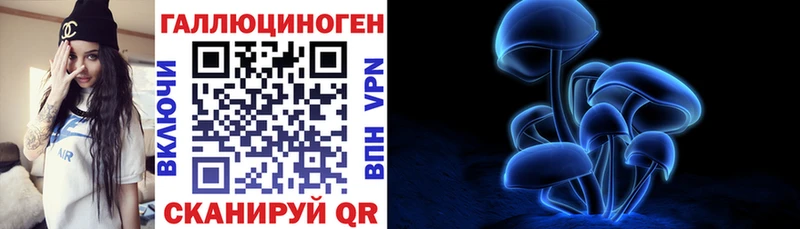закладка  Лиски  блэк спрут вход  Псилоцибиновые грибы прущие грибы 